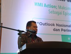 Cerdas, Ini Konsep PHS Guna Menunjang IKN