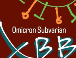 Covid Varian XBB Masuk Indonesia, Waspada Kebal Vaksin dan Antibodi
