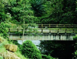 Lama Tidak Terpakai Jembatan di Mamuju Jadi Tempat Horor
