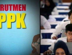 Tenaga Pendidik, Kesehatan, dan Teknis akan Diprioritaskan Untuk Rekrutmen P3K Tahun 2022