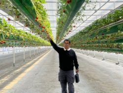 Berkunjung ke Korsel, PJ Gubernur Sulbar Pelajari Sistem Smart Farming dan Pelayanan Kesehatan Masyarakat