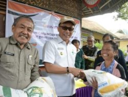 Penyaluran Bantuan Pangan Tahap III di Sulbar Target Pekan Ini Tersalur 100 Persen