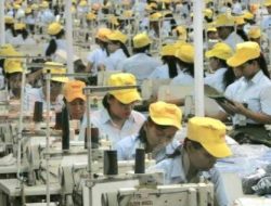 Kenaikan UMP Bisa Memicu PHK, Kok Bisa ?