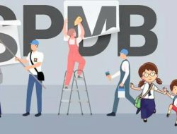 Simak! Perbedaan 4 Jalur PPDB dan SPMB