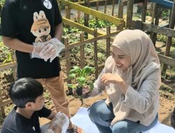 Dear Kids, Yuk Belajar Sambil Bermain di Gammara Hotel