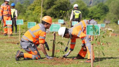 Berpartisipasi di Hari Bumi, PT Semen Tonasa Tanam Pohon Serentak